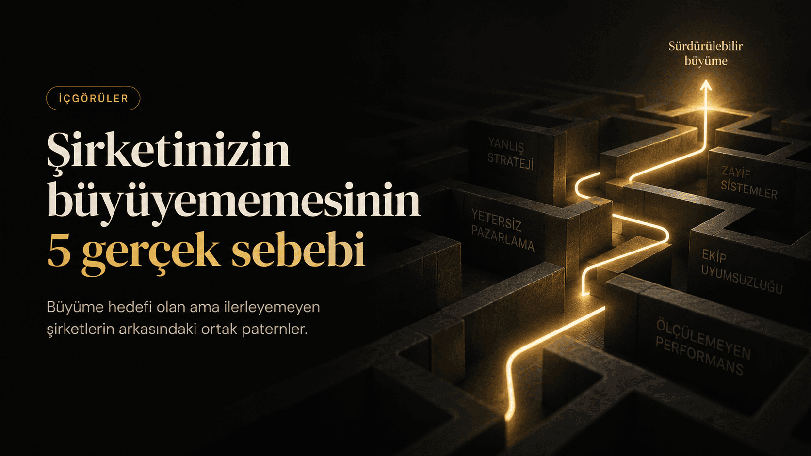 Şirketinizin büyüyememesinin 5 gerçek sebebi